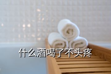 什么酒喝了不头疼