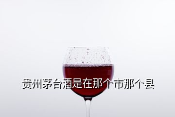 贵州茅台酒是在那个市那个县