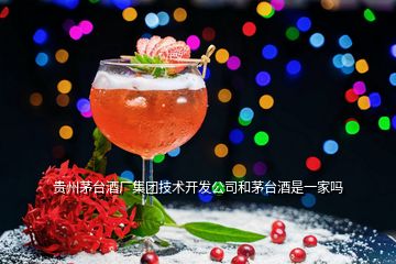 贵州茅台酒厂集团技术开发公司和茅台酒是一家吗
