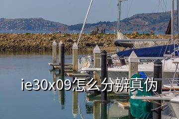 ie30x09怎么分辨真伪