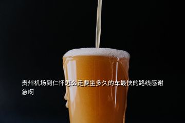 贵州机场到仁怀怎么走要坐多久的车最快的路线感谢急啊