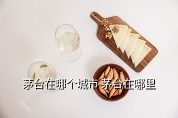 茅台在哪个城市 茅台在哪里