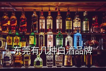 东莞有几种白酒品牌
