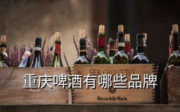 重庆啤酒有哪些品牌