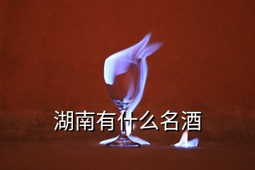 湖南有什么名酒