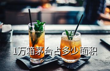 1万箱茅台占多少面积