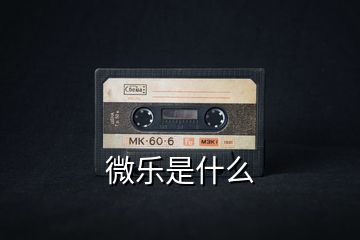 微乐是什么