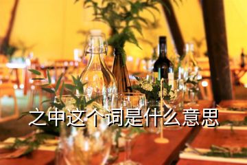 之中这个词是什么意思