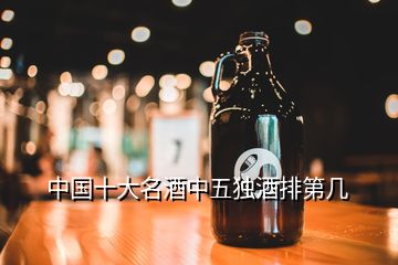 中国十大名酒中五独酒排第几