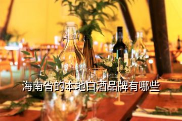 海南省的本地白酒品牌有哪些