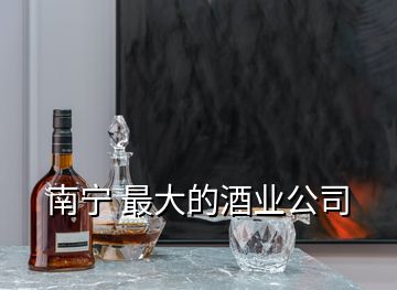 南宁 最大的酒业公司