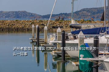 泸州老窖世纪荣耀公司和泸州老窖股份有限公司是怎么一回事