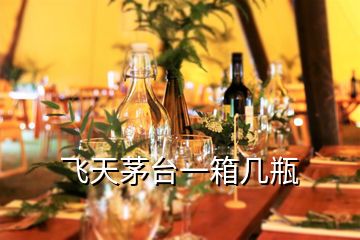 飞天茅台一箱几瓶