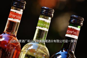 山西汾青酒厂和山西汾清国魂酒业有限公司是一家吗