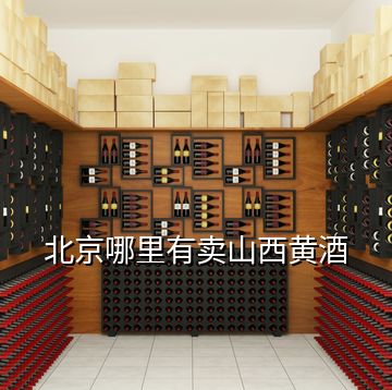 北京哪里有卖山西黄酒