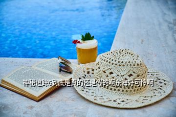神秘追踪6到底是真的还是假的啊东海好可怜啊