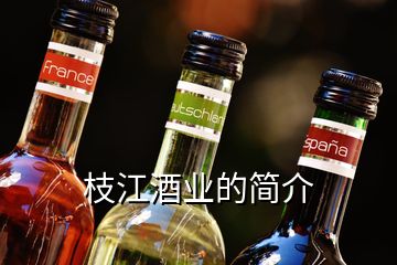 枝江酒业的简介