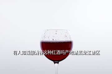 有人知道酿清谷这种红酒吗产地是黑龙江垦区
