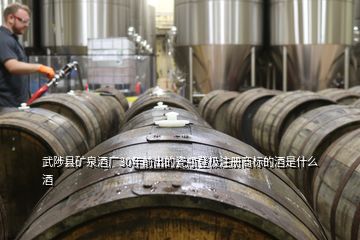 武陟县矿泉酒厂30年前出的瓷瓶登极注册商标的酒是什么酒