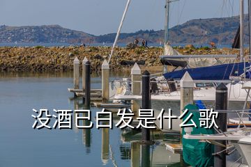 没酒已白发是什么歌