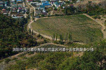 浏阳市名河酒业有限公司蓝名河酒十五年陈酿多少钱