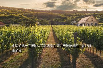中国泸池十五年陈52度浓香型白酒生产地址是四川省泸州市泸县