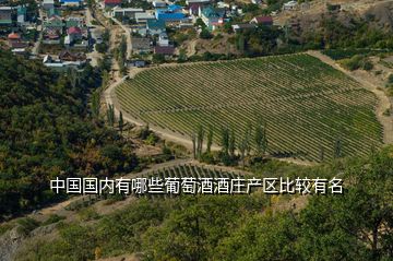 中国国内有哪些葡萄酒酒庄产区比较有名