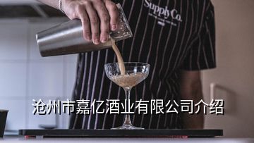 沧州市嘉亿酒业有限公司介绍