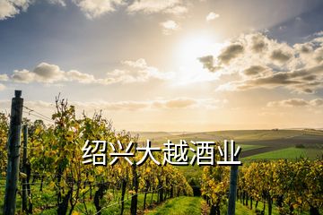 绍兴大越酒业