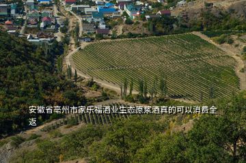 安徽省亳州市家乐福酒业生态原浆酒真的可以消费全返