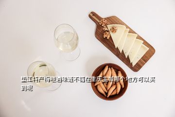 垫江特产梅咂酒味道不错在重庆主城哪个地方可以买到呢