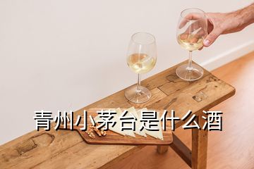 青州小茅台是什么酒