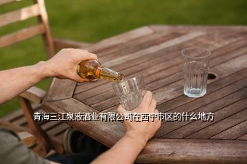 青海三江泉液酒业有限公司在西宁市区的什么地方