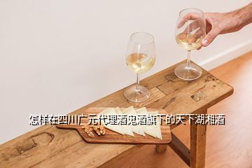 怎样在四川广元代理酒鬼酒旗下的天下湖湘酒