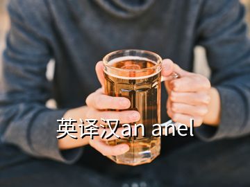 英译汉an anel