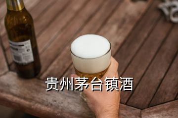 贵州茅台镇酒