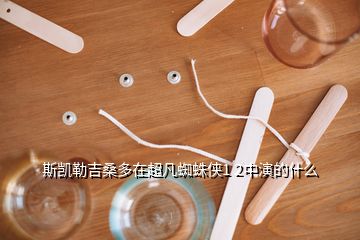 斯凯勒吉桑多在超凡蜘蛛侠1 2中演的什么