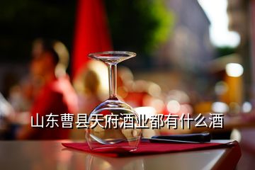 山东曹县天府酒业都有什么酒