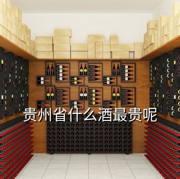贵州省什么酒最贵呢