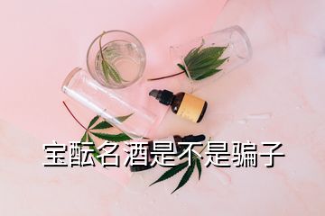 宝酝名酒是不是骗子