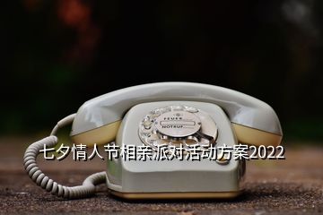 七夕情人节相亲派对活动方案2022