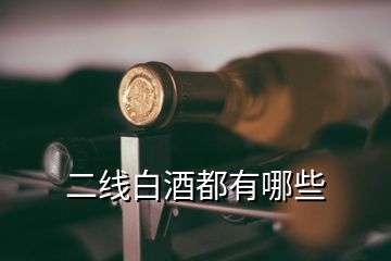 二线白酒都有哪些