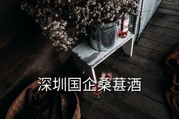 深圳国企桑葚酒