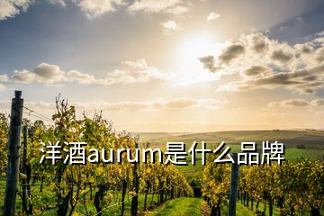 洋酒aurum是什么品牌