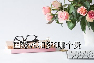 国缘v6和梦6哪个贵