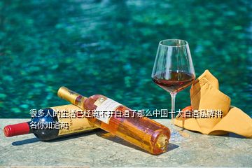 很多人的生活已经离不开白酒了那么中国十大白酒品牌排名你知道吗