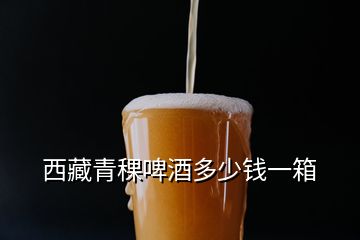 西藏青稞啤酒多少钱一箱