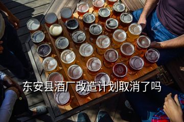 东安县酒厂改造计划取消了吗