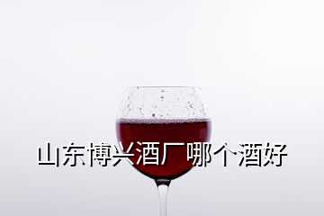 山东博兴酒厂哪个酒好