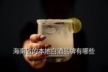 海南省的本地白酒品牌有哪些